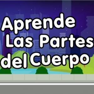 Trivia Las partes del cuerpo y sus funciones.