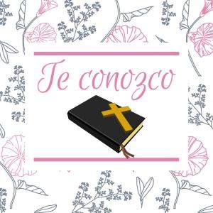 Conociendo más de ti