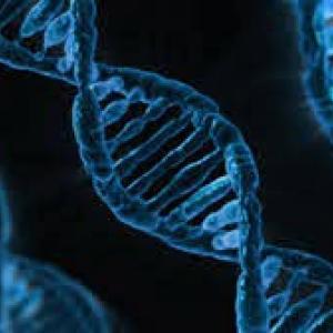 La biología de manera simple