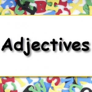 Portada del juego Describing people – Idiomas