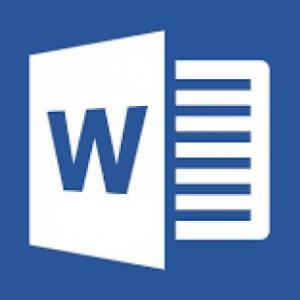 MS word, trabajo integrdor