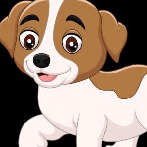 DISPENSADOR, DE ALIMENTO CANINO