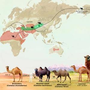 Patrones y tipos de biodiversidad.