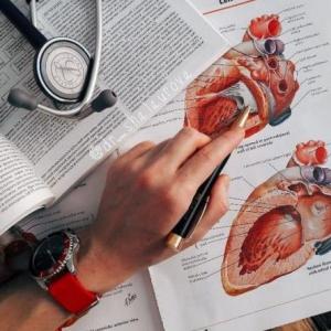 Sistema endocrino