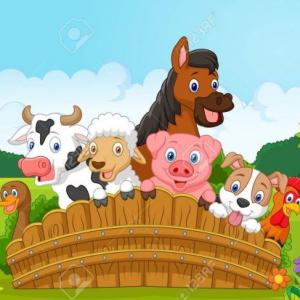 ¡Conozcamos la granja juntos!