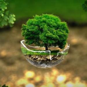 Contaminación de la biosfera