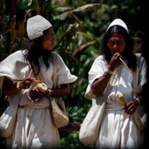 Cultura arawak