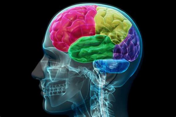 Triavia inteligencia múltiples 