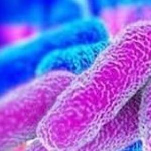 Memoria contaminación microbiologica