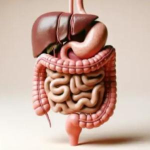 NUTRICIÓN EN HUMANOS