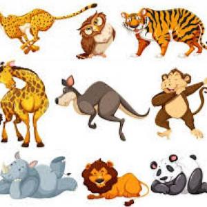 Animales Salvajes 