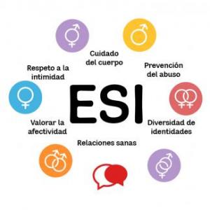 La ESI en juego