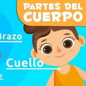 partes del cuerpo