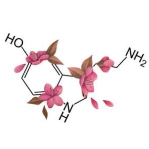 Estructura Quimica de las Biomoleculas