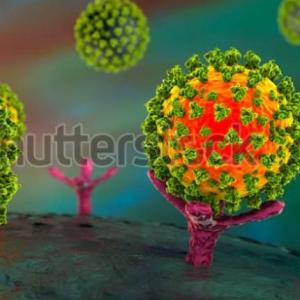 CORONAVIRUS