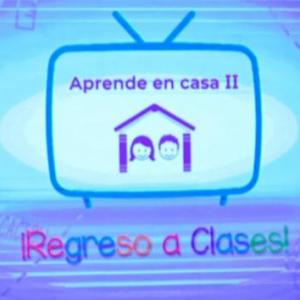 APRENDE EN CASA II