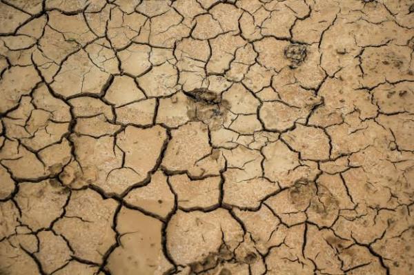 La Desertificación