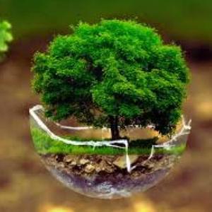 Medio Ambiente