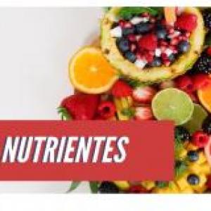 Nutrientes y alimentos