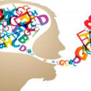 TRIVIA DE VOCABULARIO