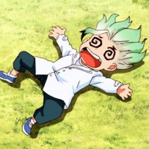 Dr. Stone Preguntas
