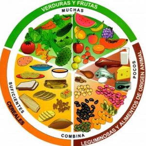 PLATO DEL BIEN COMER