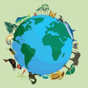 Patrones y tipos de biodiversidad
