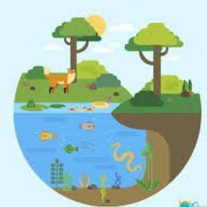 ecosistema
