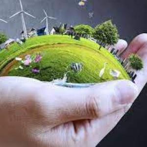 ¿Qué no debemos hacer para cuidar nuestro medio ambiente y salud?