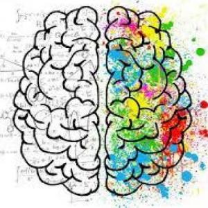 Trivia sobre bases biológicas: motivación y emoción