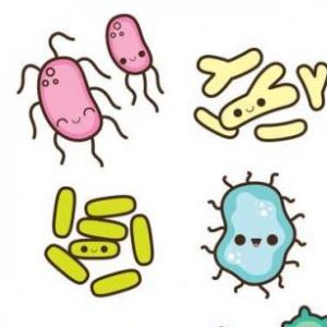 Imagen de portada del videojuego educativo: las bacterias, de la temática Ciencias