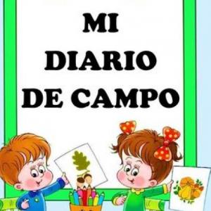TRIVIA DEL DIARIO DE CAMPO
