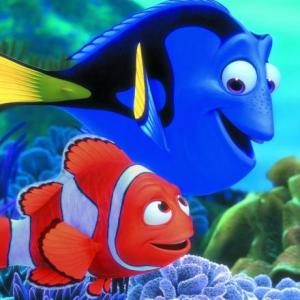 BUSCANDO A DORI