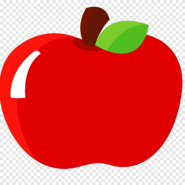 GRUPO
