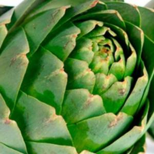 distinguir las partes de la flor e identificar las frutas ,verduras y flores comestibles