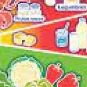 Los alimentos