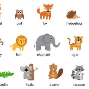 Animales sexuales y asexuales