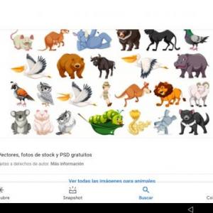 Animales salvajes
