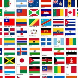 ENCUENTRA LA BANDERA
