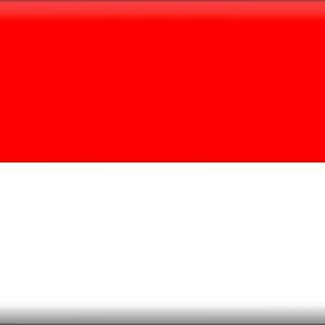 Negara/kata ganti (pronombres y países)