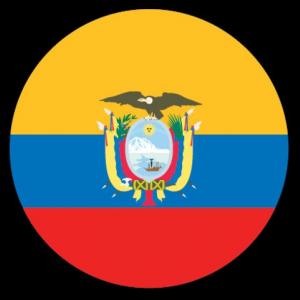Adivina la carta