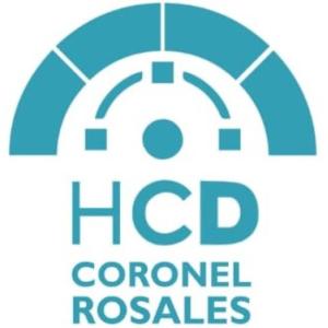 Imagen de portada del videojuego educativo: Honorable Concejo Deliberante de Coronel Rosales, de la temática Política