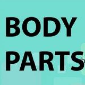 Imagen de portada del videojuego educativo: body parts trivia, de la temática Idiomas