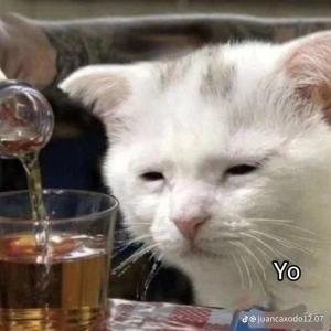 Estoy cansado jefe