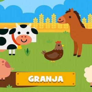 Animales y comida
