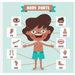 Las partes del cuerpo