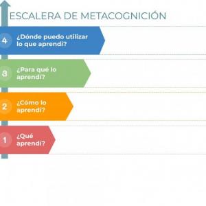 Escalera de la metacognición