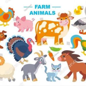 Imagen de portada del videojuego educativo: Animales Mamíferos, de la temática Medio ambiente