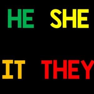 Imagen de portada del videojuego educativo: CHOOSE THE CORRECT PRONOUN, de la temática Idiomas