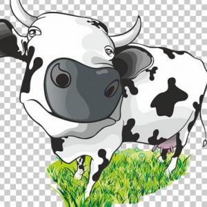 CALIDAD DE LA LECHE